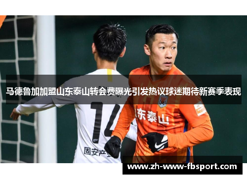 马德鲁加加盟山东泰山转会费曝光引发热议球迷期待新赛季表现 马德鲁加加盟山东泰山转会费曝光引发热议球迷期待新赛季表现