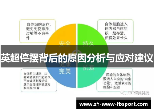 英超停摆背后的原因分析与应对建议 英超停摆背后的原因分析与应对建议