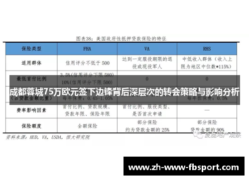 成都蓉城75万欧元签下边锋背后深层次的转会策略与影响分析 成都蓉城75万欧元签下边锋背后深层次的转会策略与影响分析